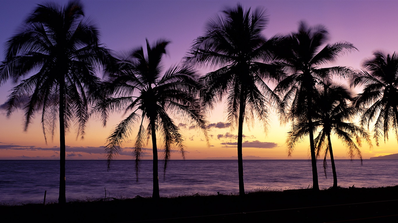 美しいビーチの夕日、Windows 8のパノラマワイドスクリーンの壁紙 #1 - 1366x768