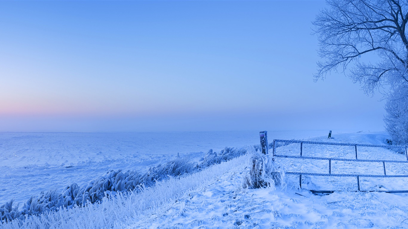 美しい寒い冬の雪、Windows 8のパノラマワイドスクリーンの壁紙 #2 - 1366x768