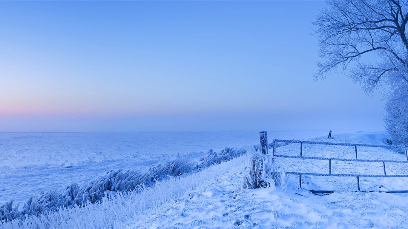 寒冷冬天美麗的雪景，Windows 8 全景寬屏壁紙 #2 - 1366x768