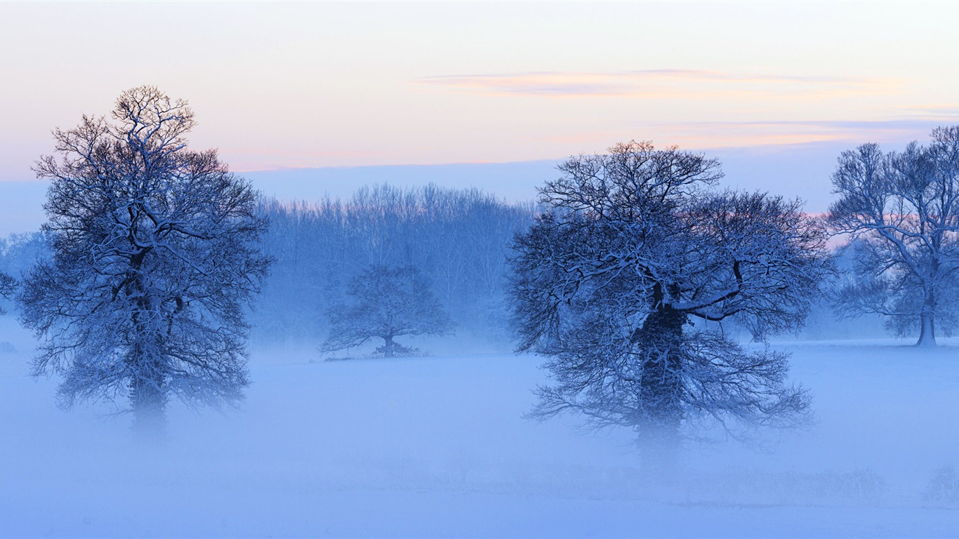 寒冷冬天美麗的雪景，Windows 8 全景寬屏壁紙 #6 - 1366x768