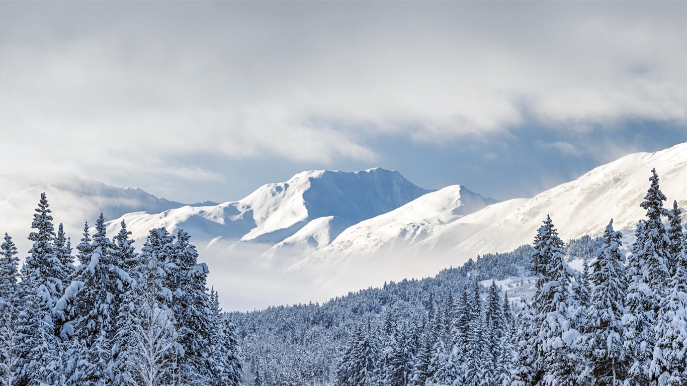 Belle neige froide d'hiver, de Windows 8 fonds d'écran widescreen panoramique #9 - 1366x768