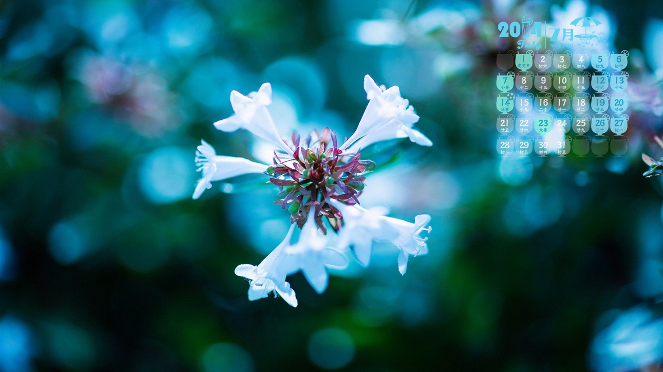 2014年7月 月曆壁紙(一) #18 - 1366x768
