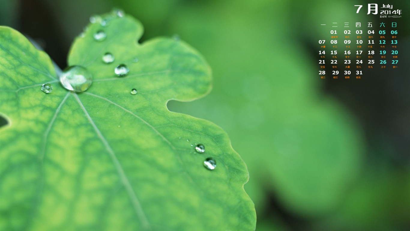 July 2014 calendar wallpaper (1) #20 - 1366x768