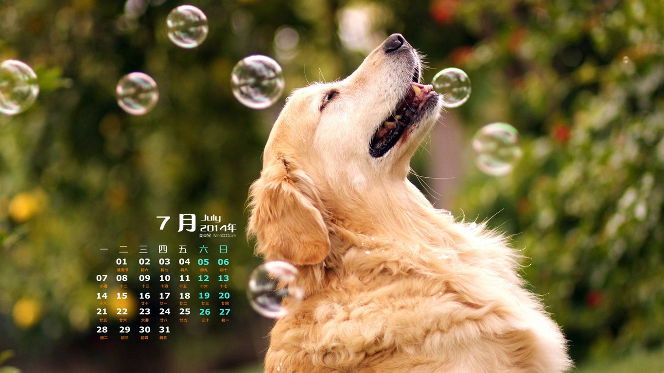 2014年7月 月曆壁紙(二) #11 - 1366x768