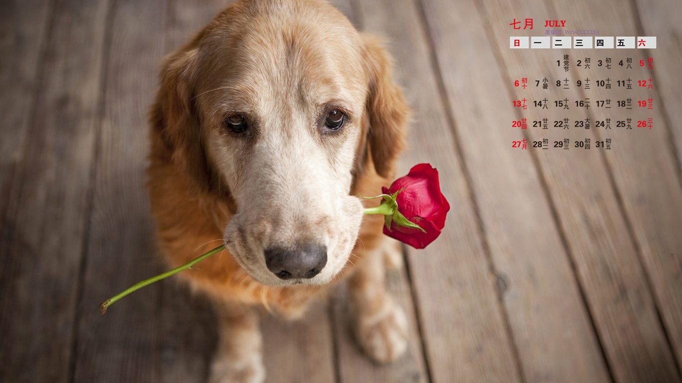 2014年7月 月曆壁紙(二) #13 - 1366x768