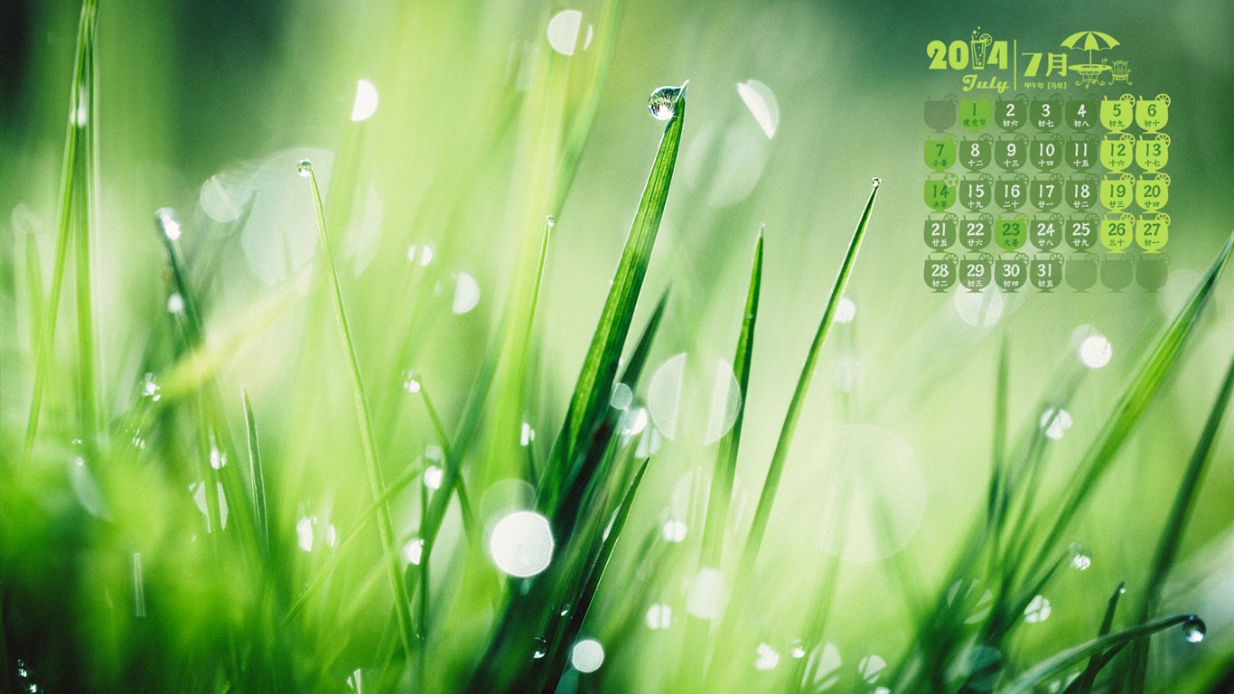 Juli 2014 Kalender Wallpaper (2) #20 - 1366x768