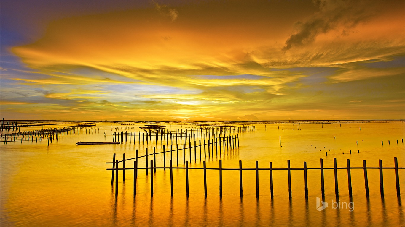 06. 2014 Výběr Bing oficiální wallpaper #8 - 1366x768