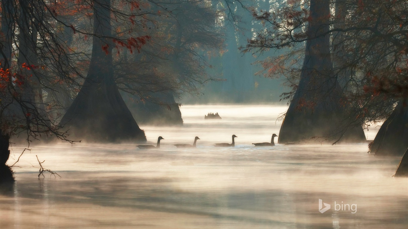 Juin 2014 la sélection de fond d'écran officiel de Bing #15 - 1366x768