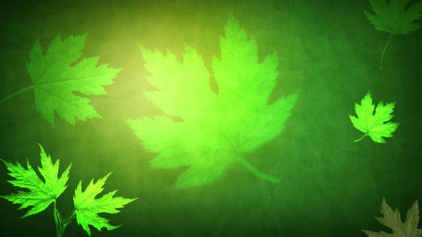 葉子與露珠 高清植物壁紙 #14 - 1366x768