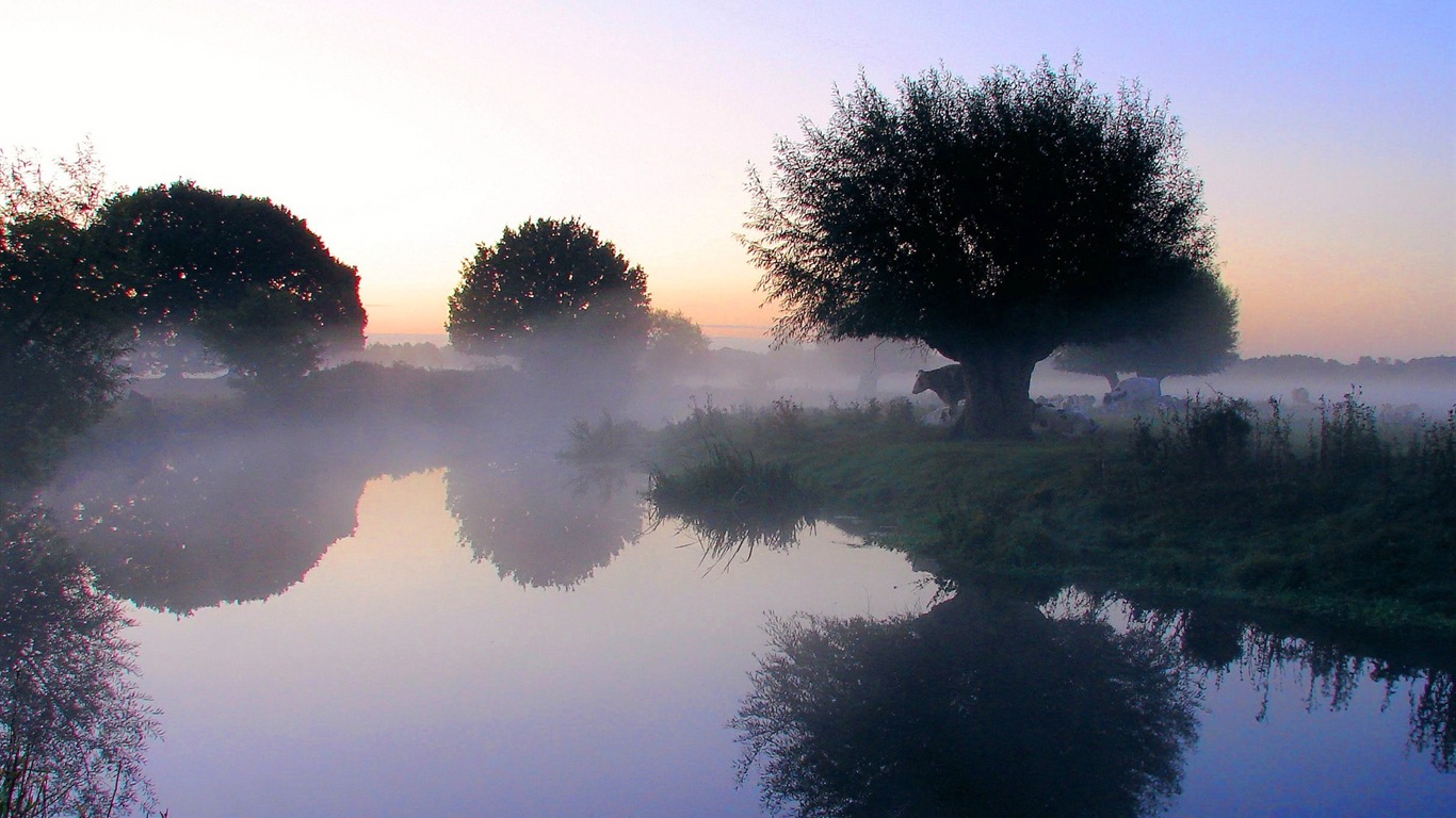 Paysage brumeux matin, Windows 8 écran thème #4 - 1366x768