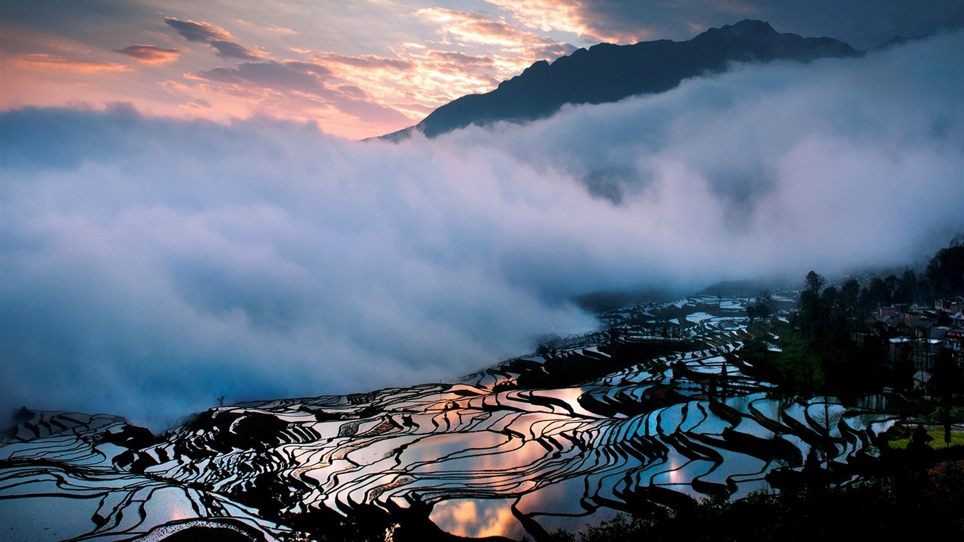 朦朧的清晨風景，Windows 8 主題壁紙 #5 - 1366x768