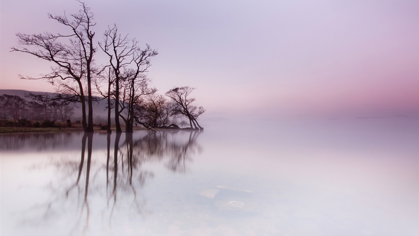 朦朧的清晨風景，Windows 8 主題壁紙 #6 - 1366x768