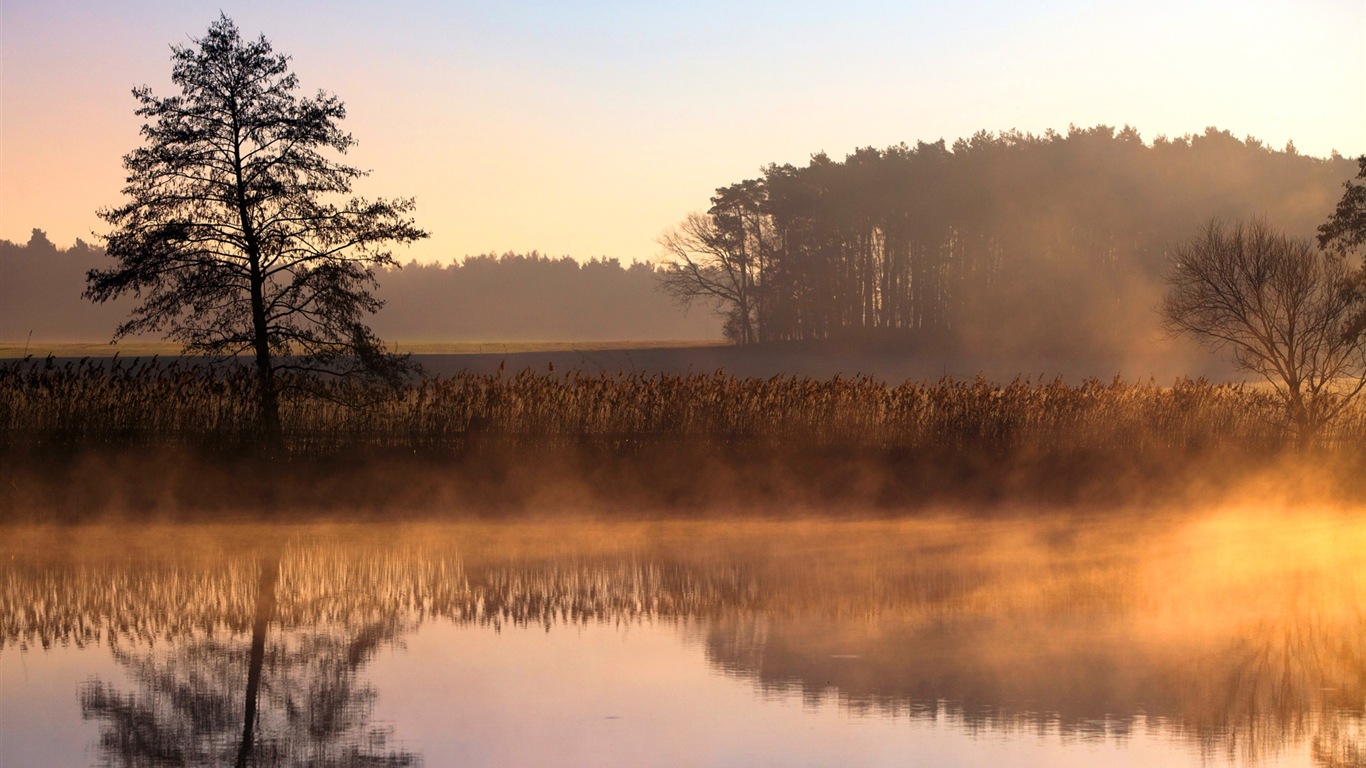 Paysage brumeux matin, Windows 8 écran thème #10 - 1366x768