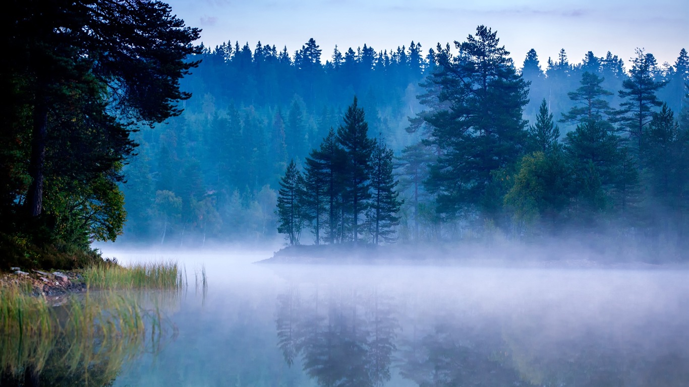 Paysage brumeux matin, Windows 8 écran thème #14 - 1366x768