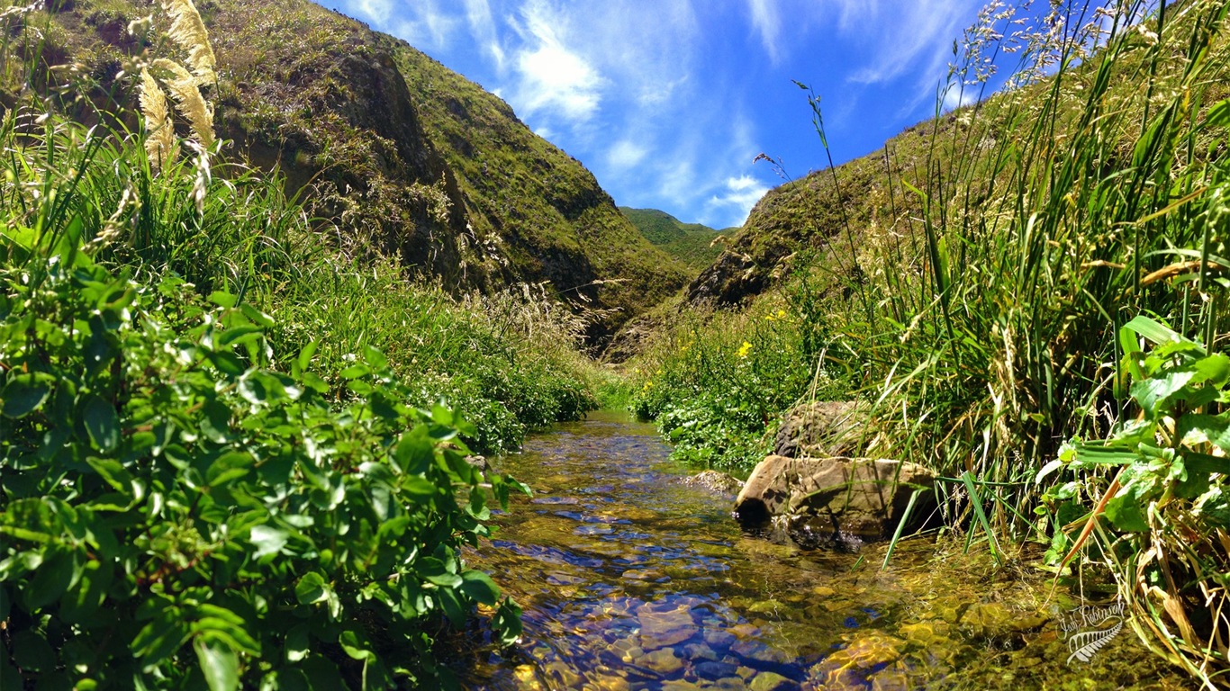 Magnifique paysage de la Nouvelle-Zélande, Windows 8 fonds d'écran thématiques #8 - 1366x768