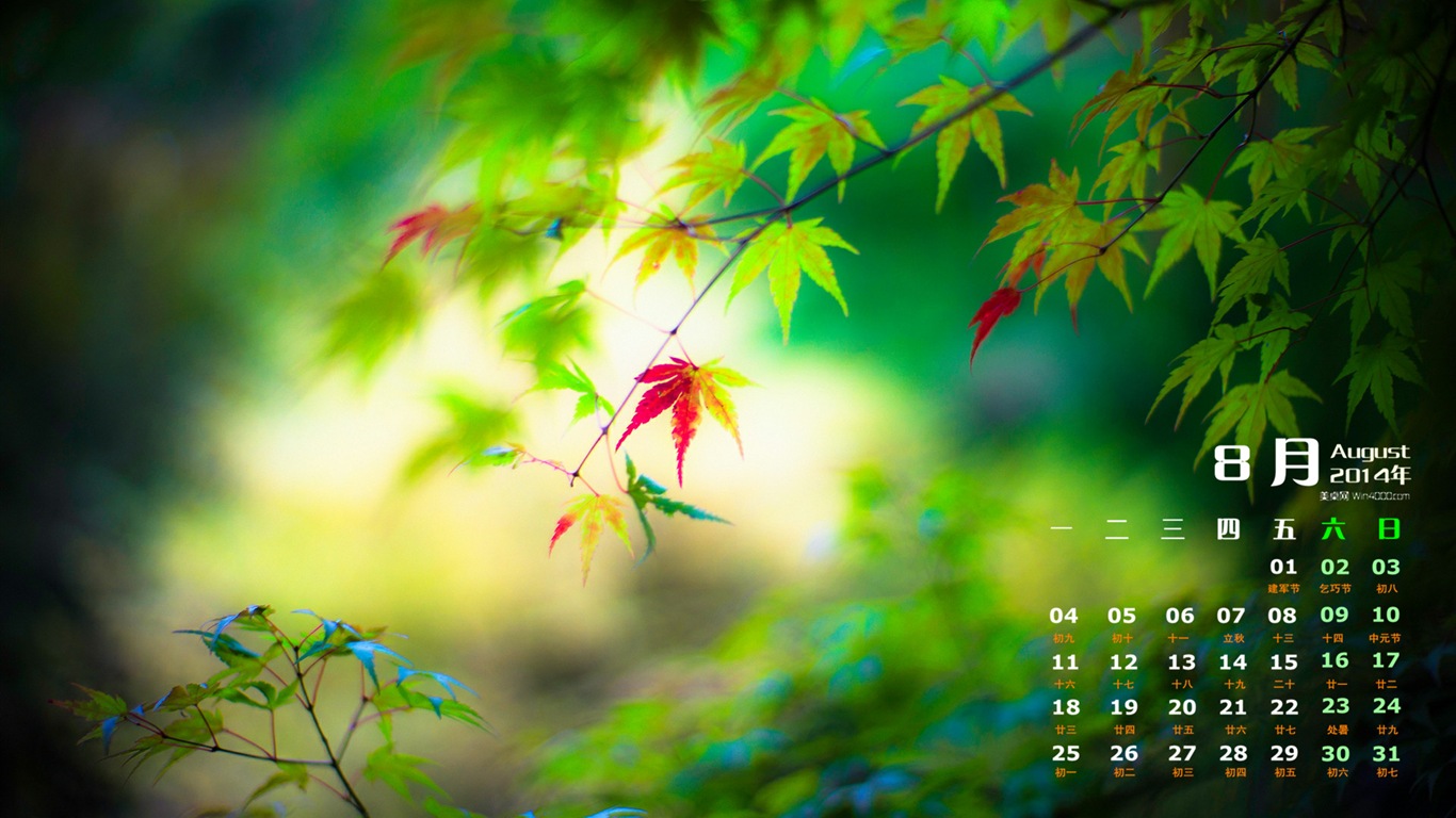 2014年8月 月曆壁紙(一) #8 - 1366x768