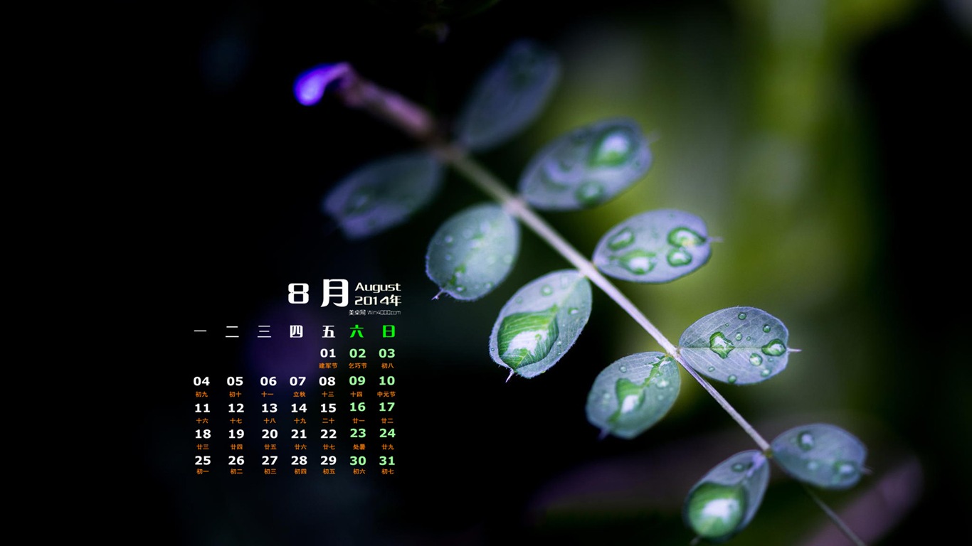 2014年8月 月曆壁紙(一) #9 - 1366x768