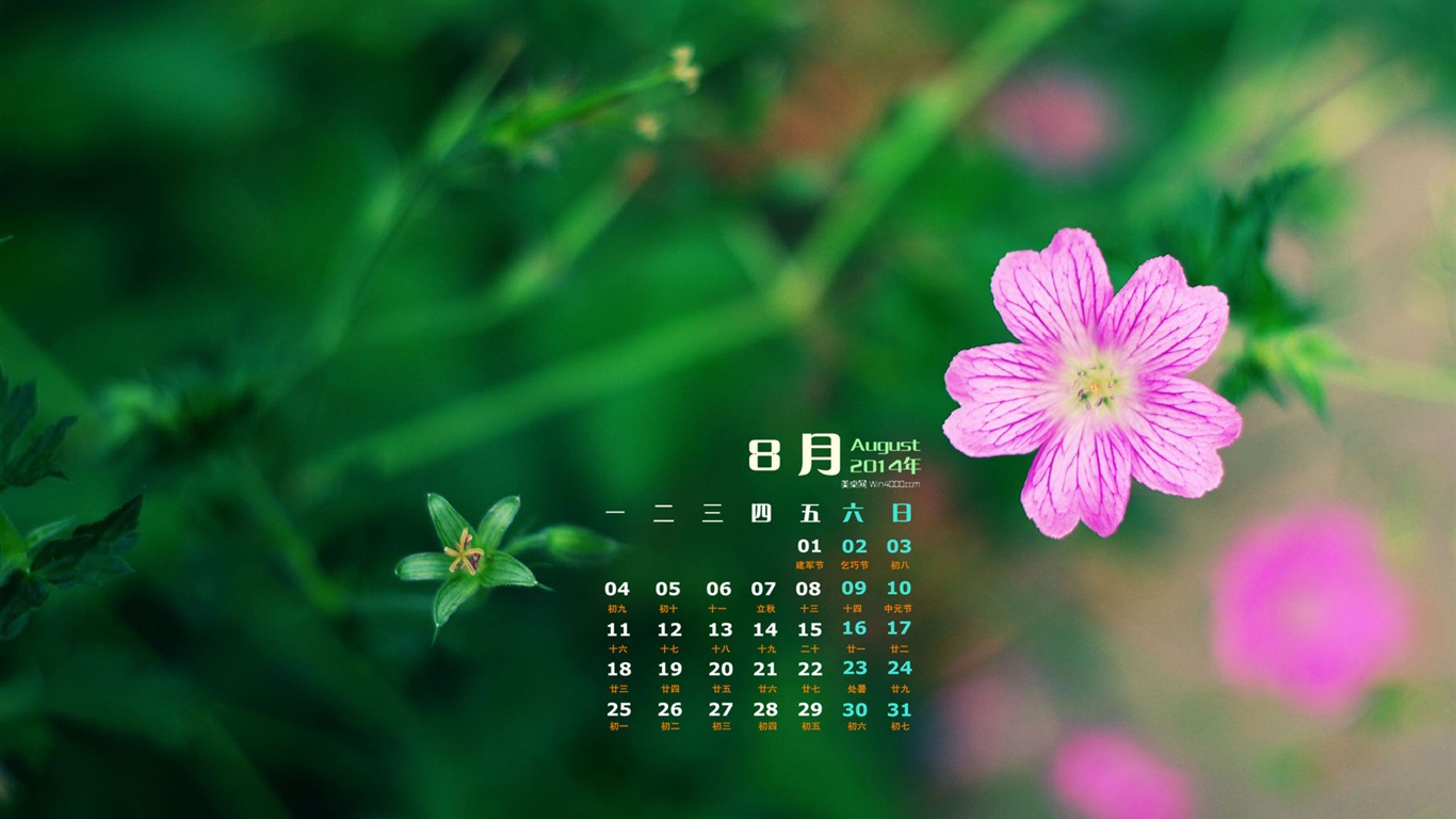 2014年8月 月曆壁紙(一) #10 - 1366x768
