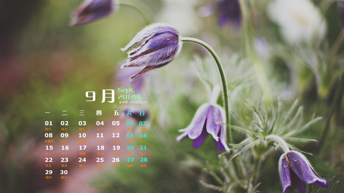 September 2014 Calendar wallpaper (1) #17 - 1366x768