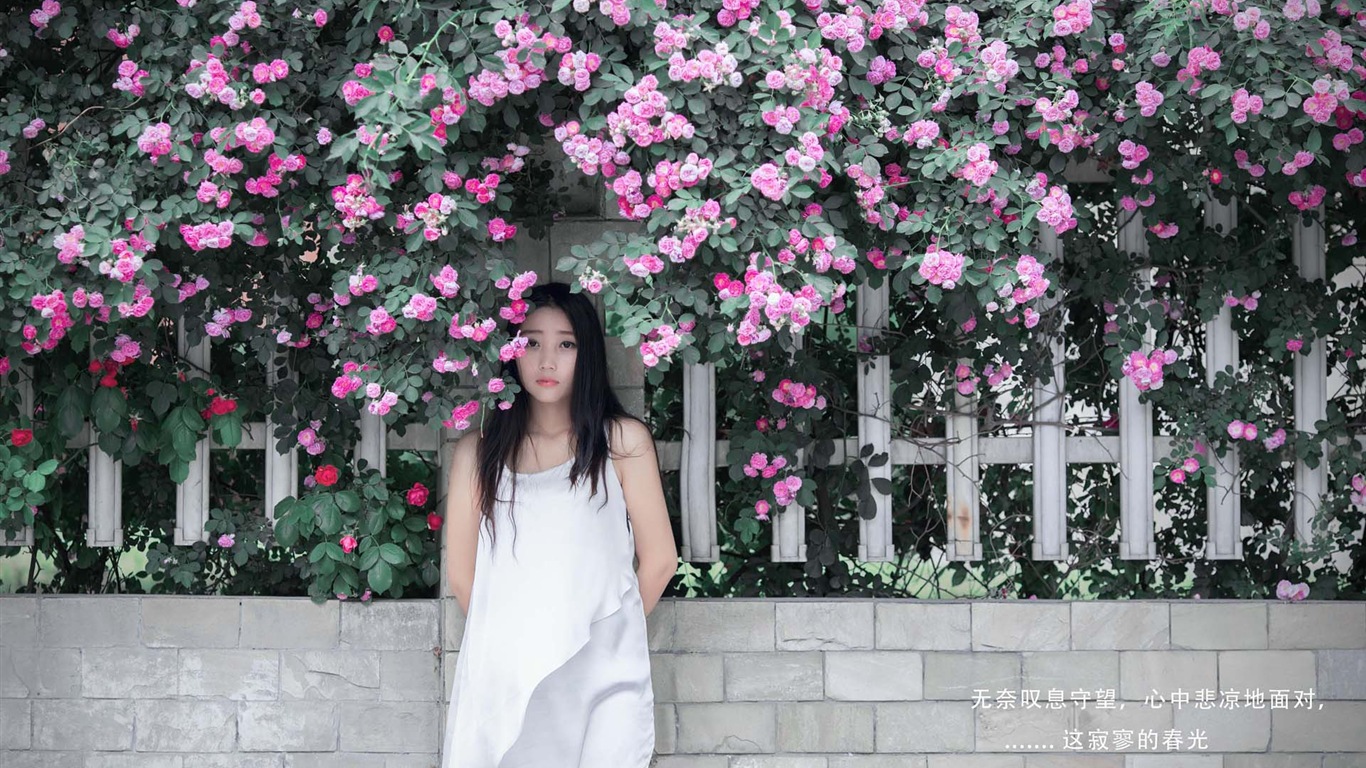 장미 꽃의 HD 배경 화면과 함께 아름 다운 소녀 #7 - 1366x768