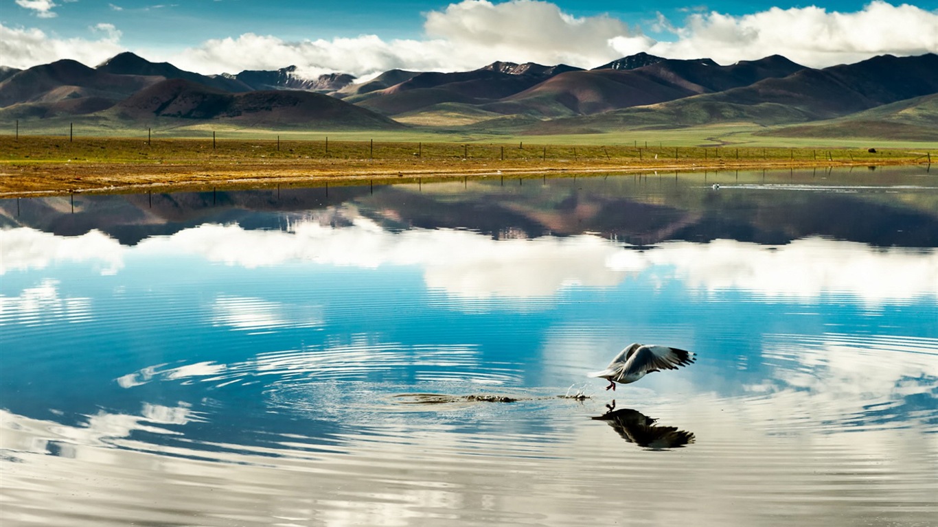 Qinghai Plateau krásné scenérie tapety #2 - 1366x768