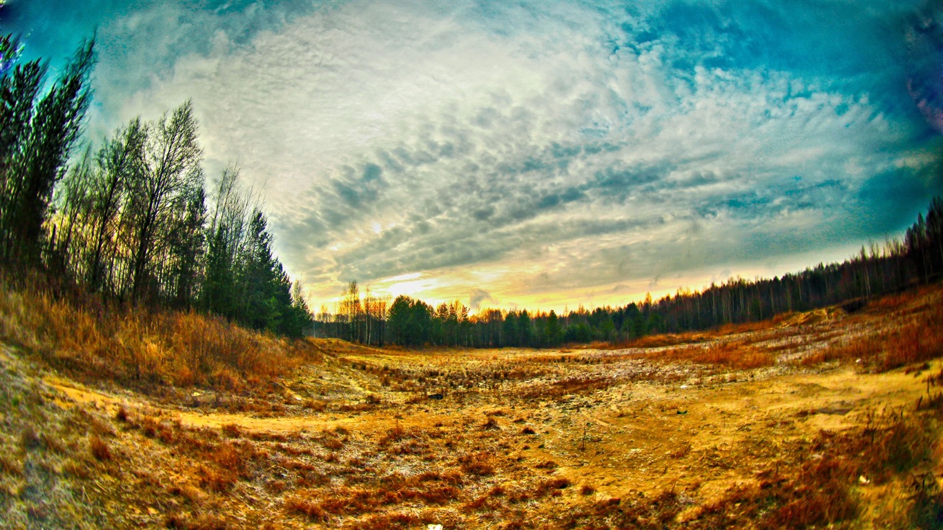Sunshine forest lakes beauty of nature HD wallpaper #8 - 1366x768