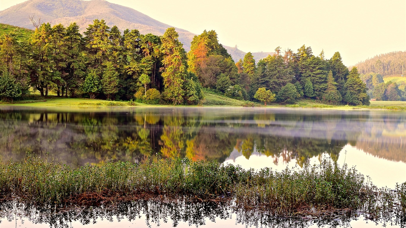 Sunshine lesní jezera krása přírody HD tapetu #14 - 1366x768