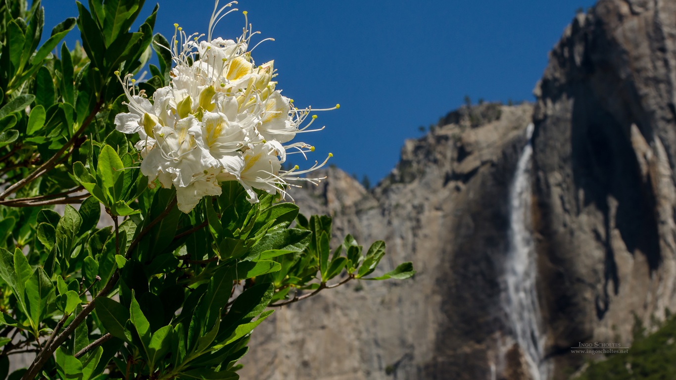 Windows 8 theme, Yosemite National Park HD wallpapers #4 - 1366x768
