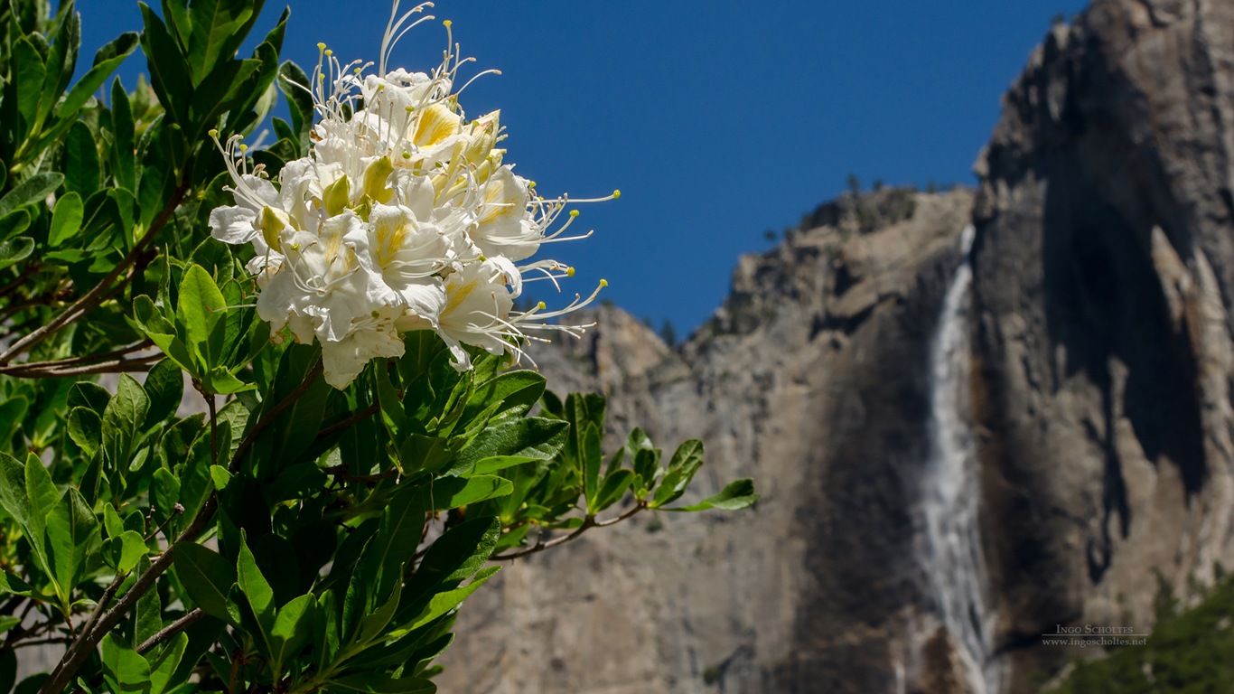 Windows 8 téma, Národní park Yosemite HD tapety na plochu #4 - 1366x768