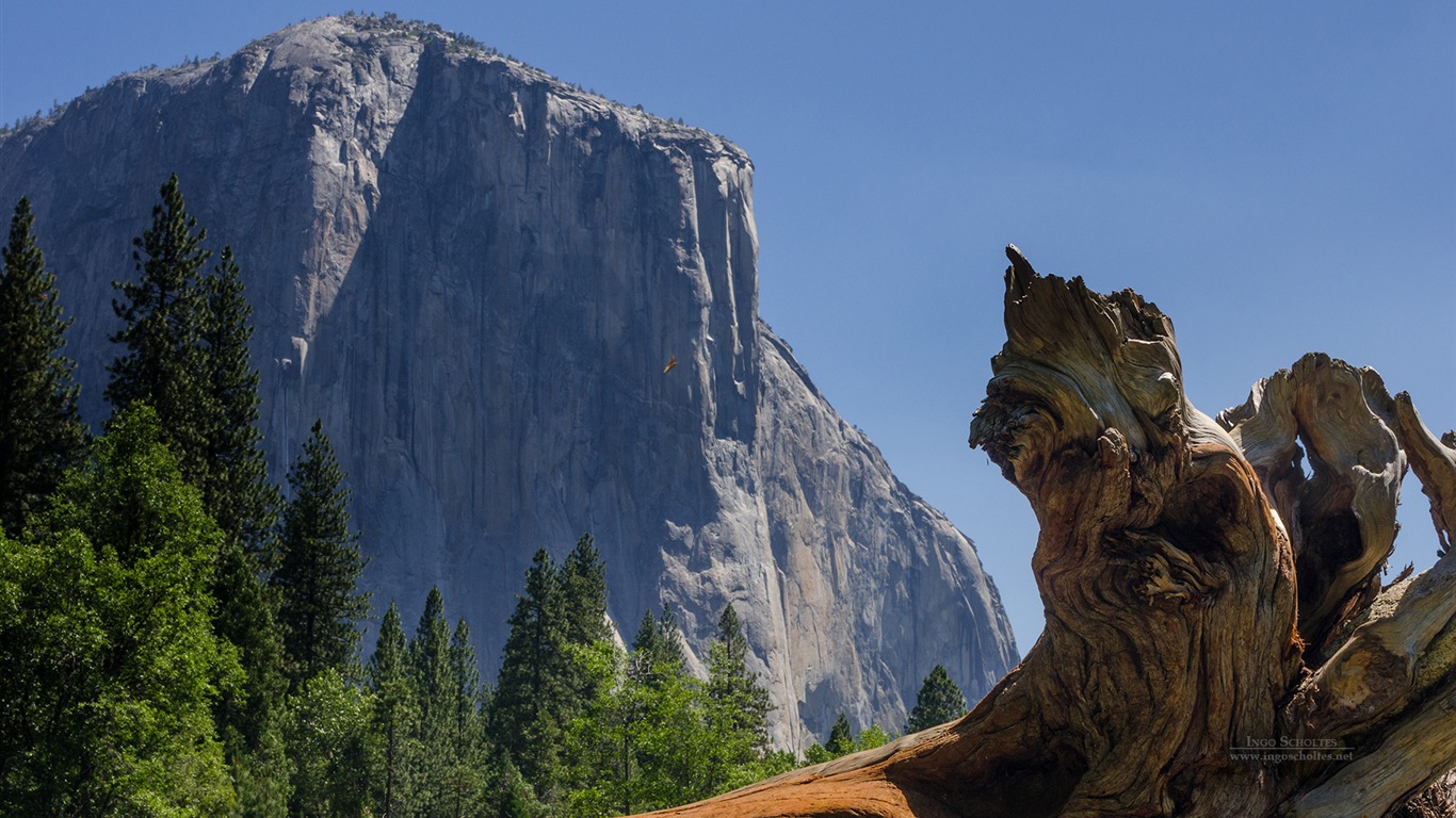 Windows 8 thème, Parc national de Yosemite fonds d'écran HD #10 - 1366x768
