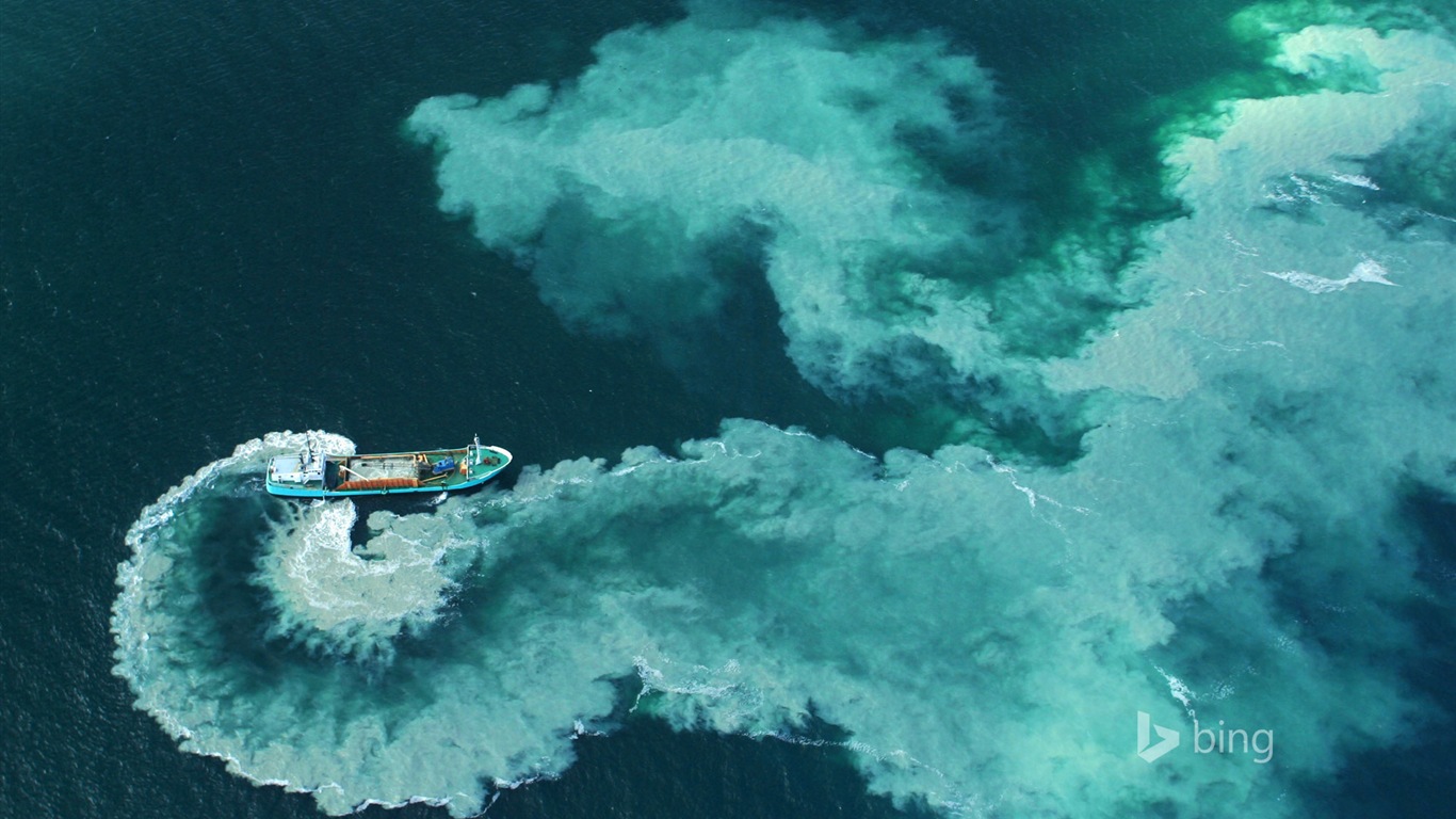 Octobre 2014 Bing fonds d'écran paysages HD #6 - 1366x768