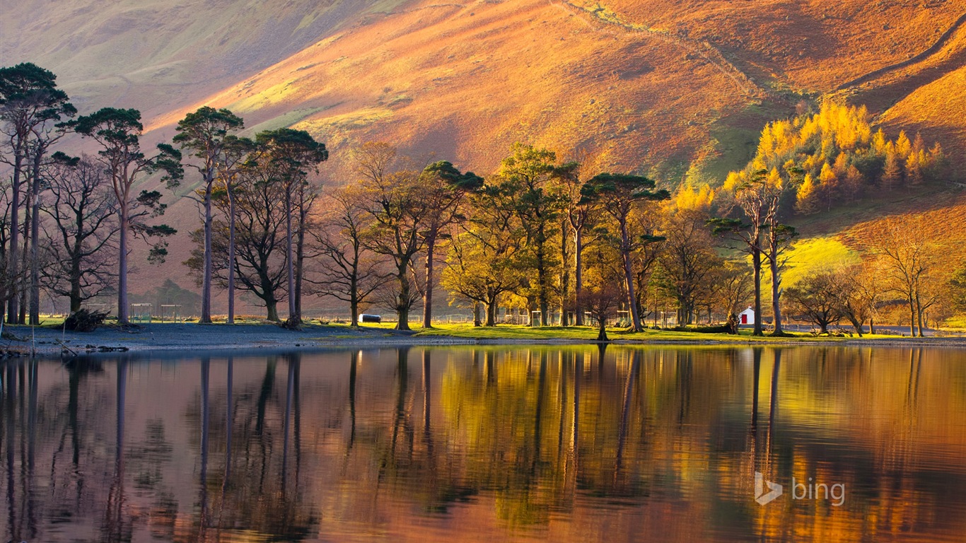 Října 2014 Bing scenérie HD Tapety na plochu #12 - 1366x768