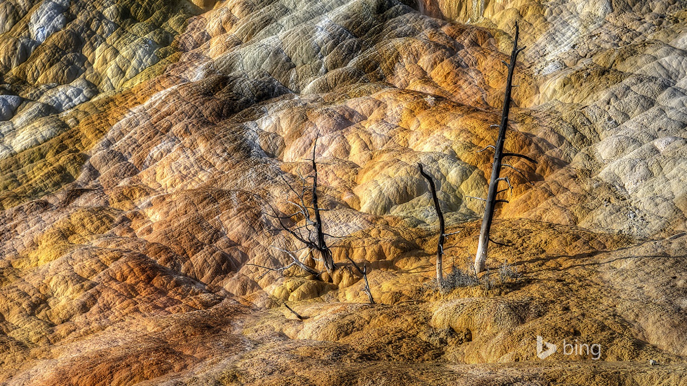 October 2014 Bing scenery HD wallpapers #17 - 1366x768