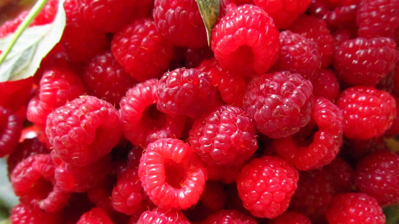 红红的甜树莓 高清壁纸4 - 1366x768