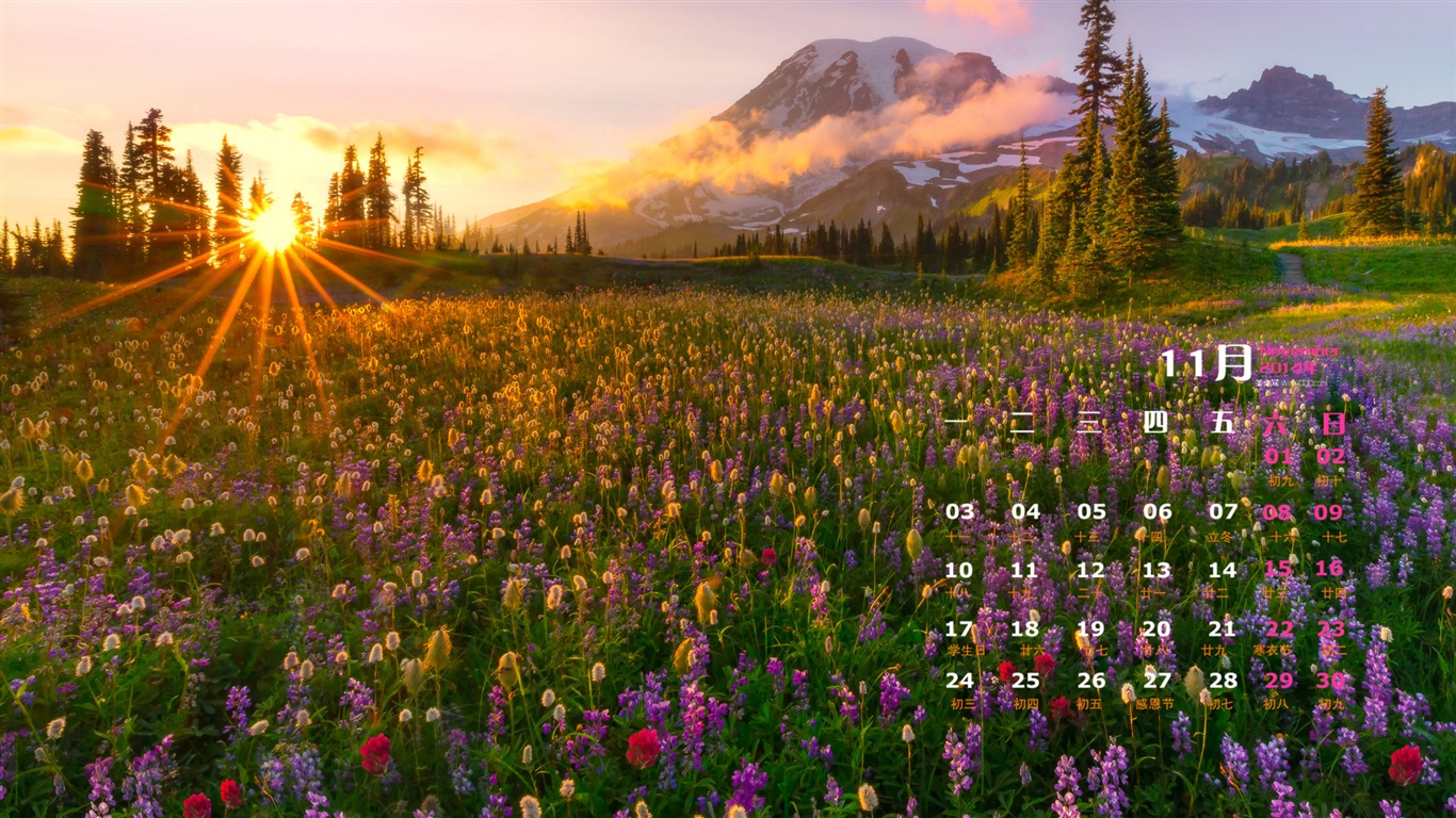 2014年11月 月曆壁紙(一) #2 - 1366x768