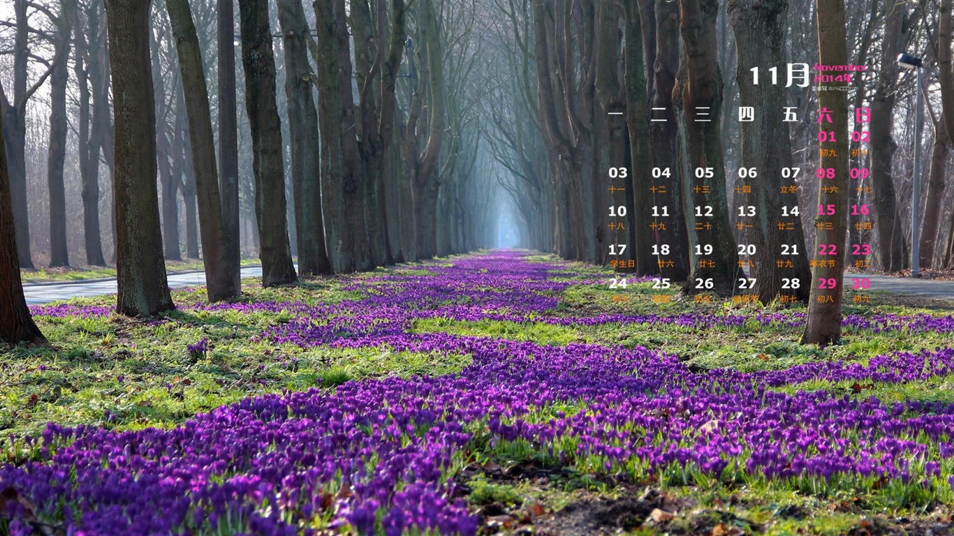 2014年11月 月曆壁紙(一) #3 - 1366x768