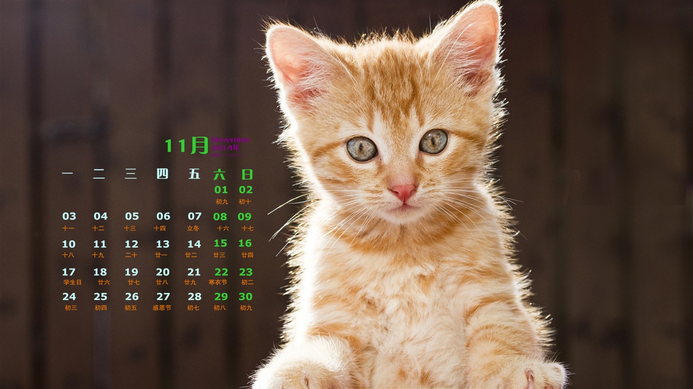 2014년 11월 캘린더 벽지 (1)Novembre Déc 2014 Calendrier fond d'écran (1) #5 - 1366x768