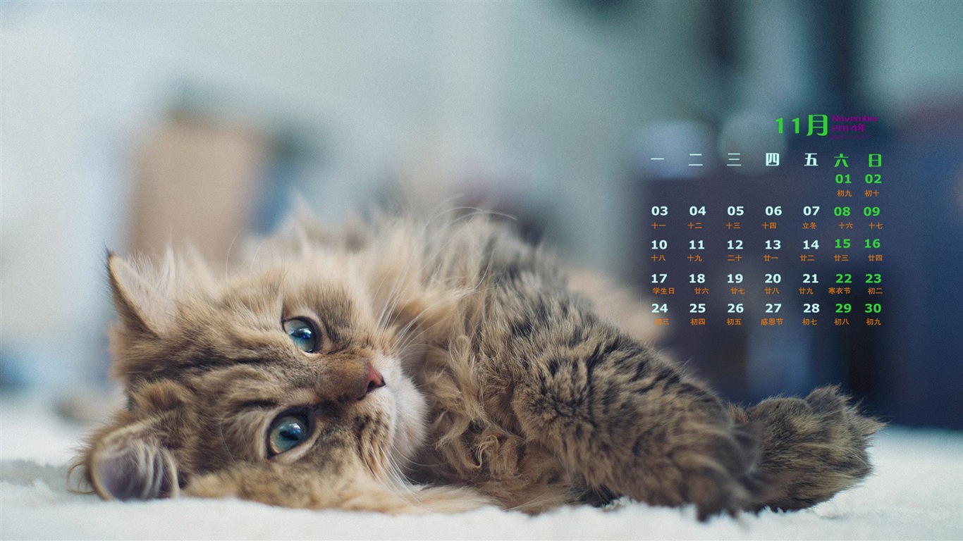 November 2014 Calendar wallpaper(1) #6 - 1366x768