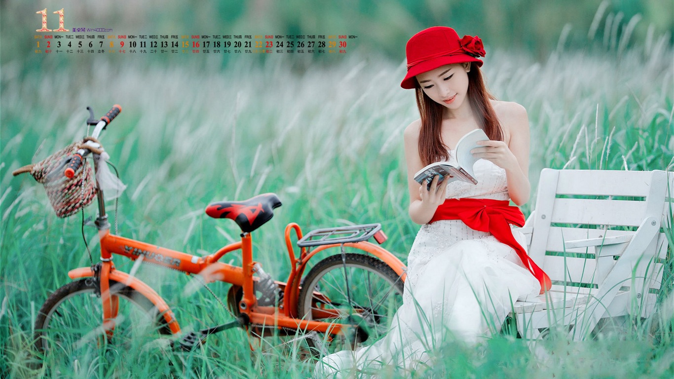 2014年11月 月曆壁紙(一) #7 - 1366x768