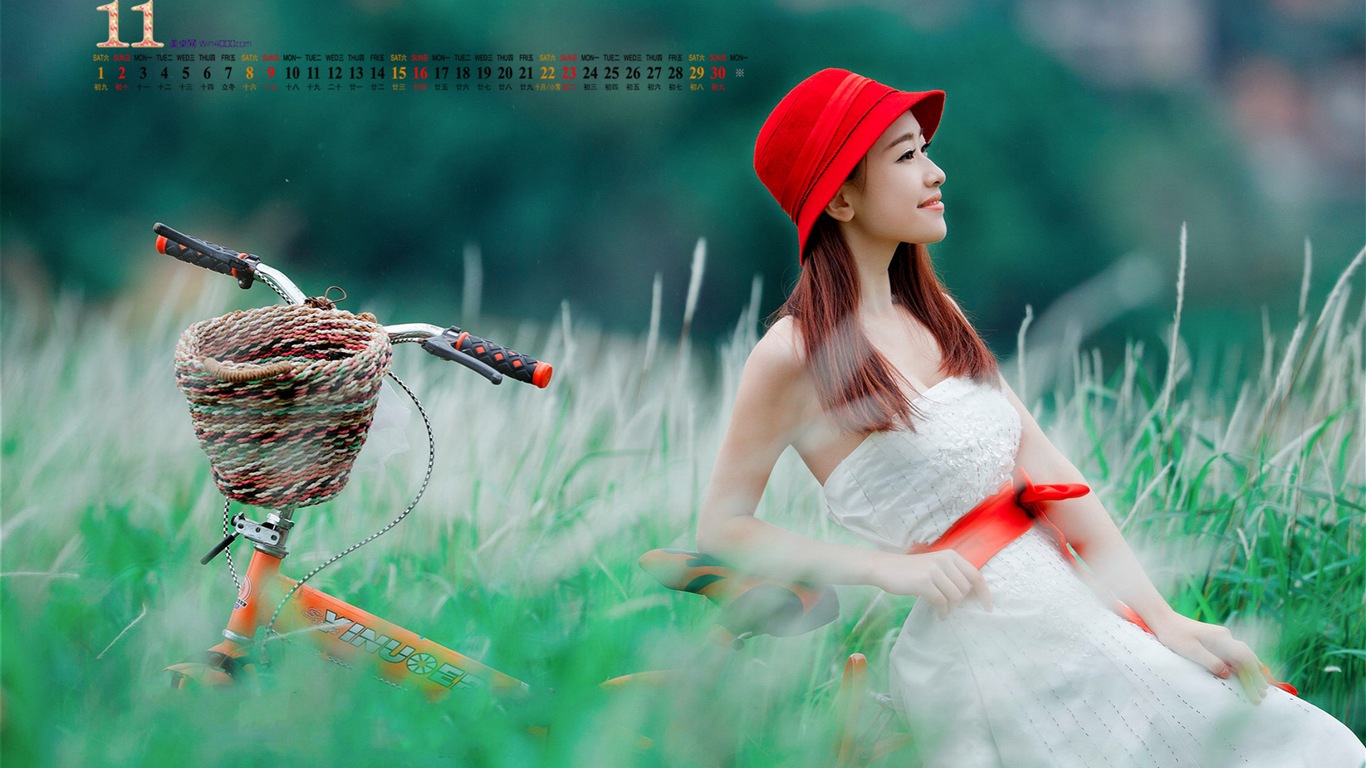 2014年11月 月曆壁紙(一) #8 - 1366x768