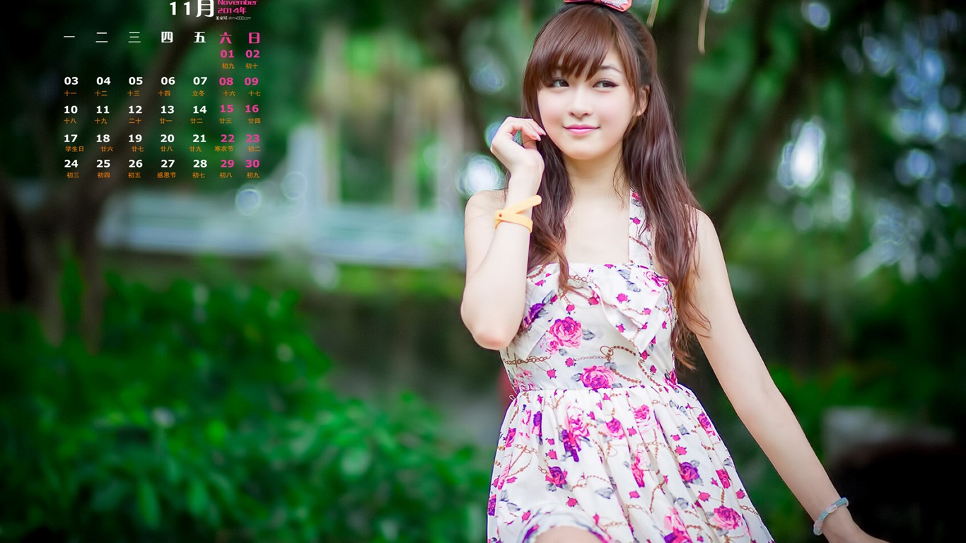 November 2014 Calendar wallpaper(1) #10 - 1366x768