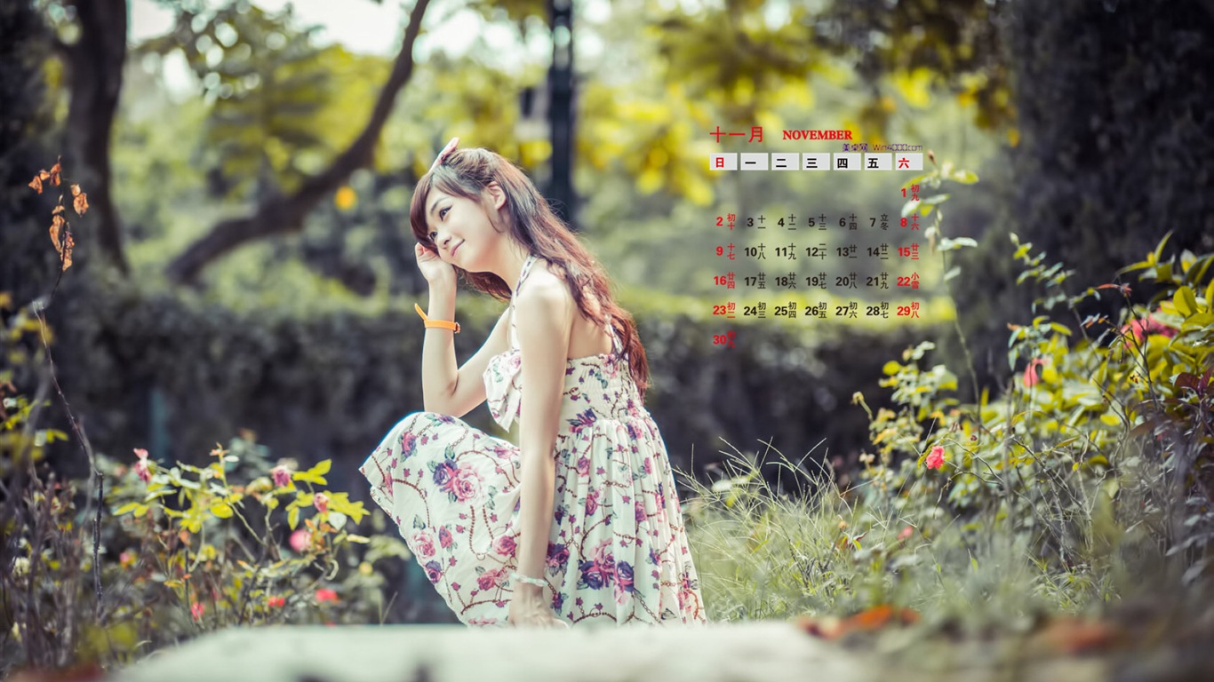 2014年11月 月曆壁紙(一) #12 - 1366x768