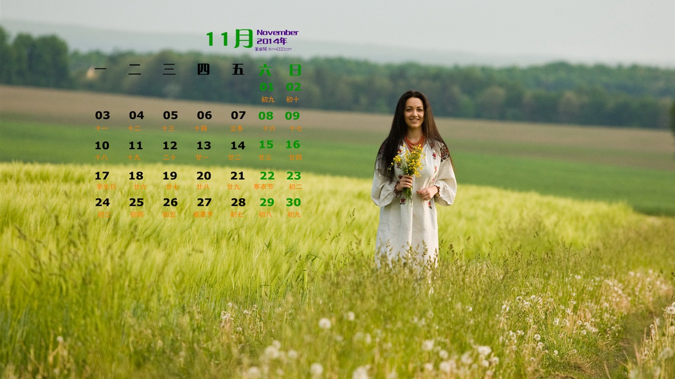 November 2014 Calendar wallpaper(1) #13 - 1366x768