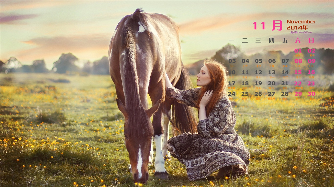 2014年11月 月曆壁紙(一) #14 - 1366x768