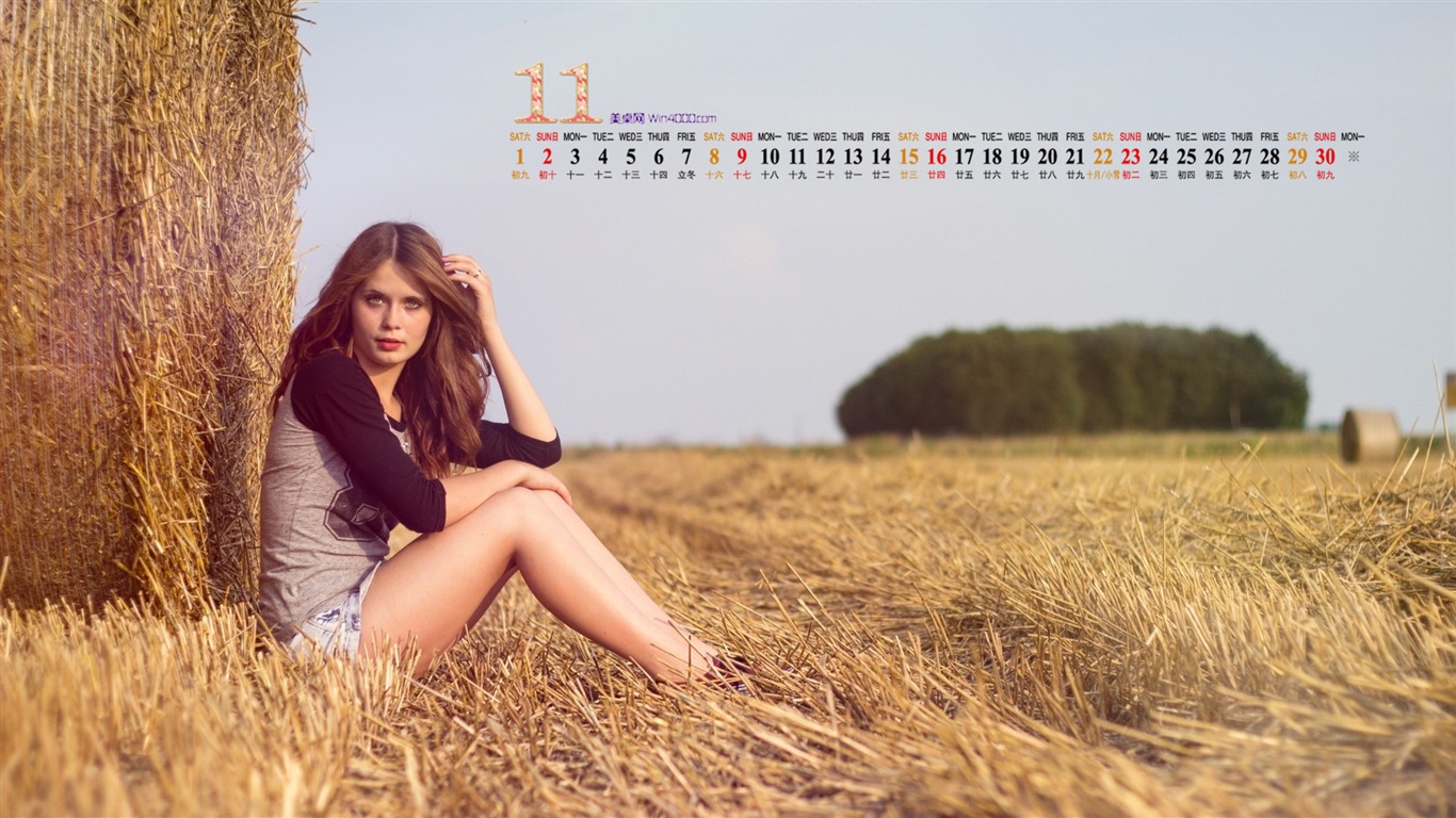 2014年11月 月曆壁紙(一) #15 - 1366x768