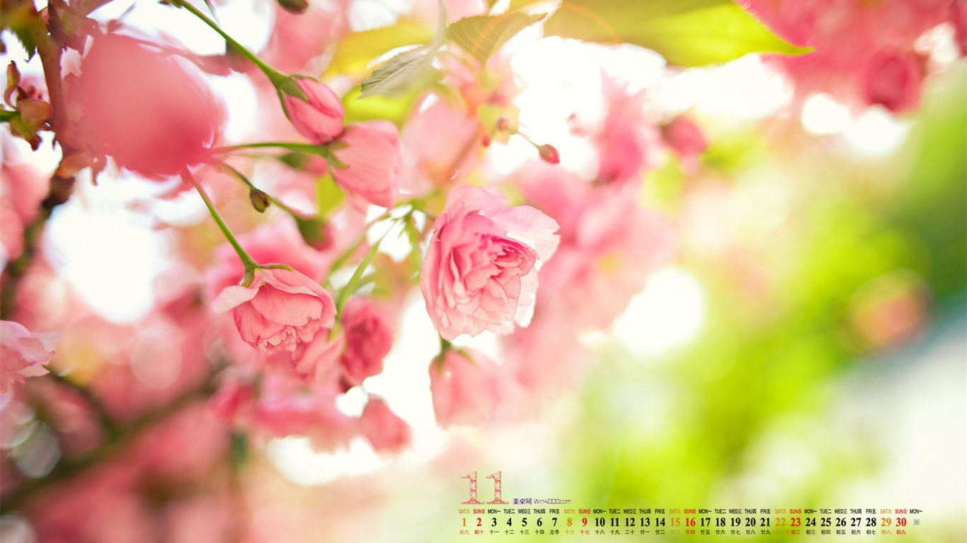 2014年11月 月曆壁紙(一) #17 - 1366x768