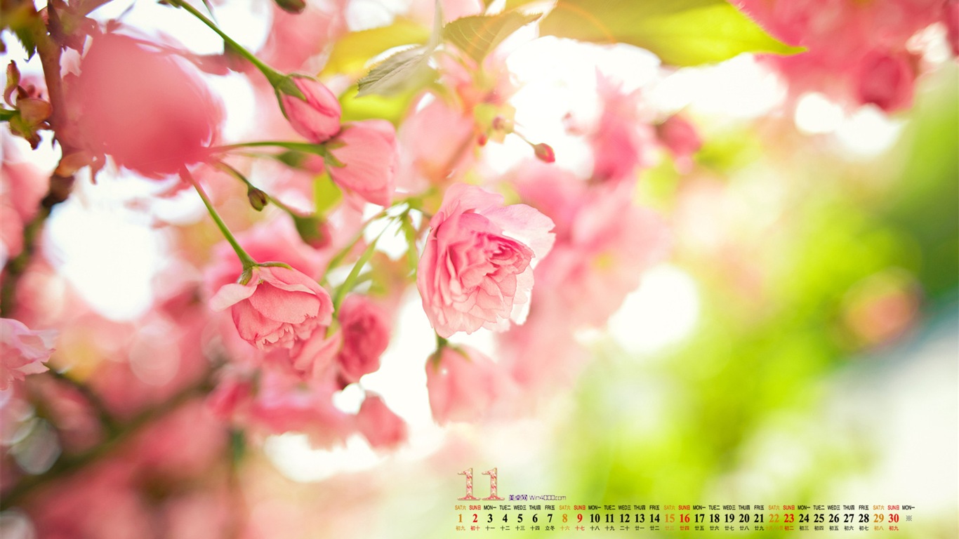 November 2014 Calendar wallpaper(1) #17 - 1366x768