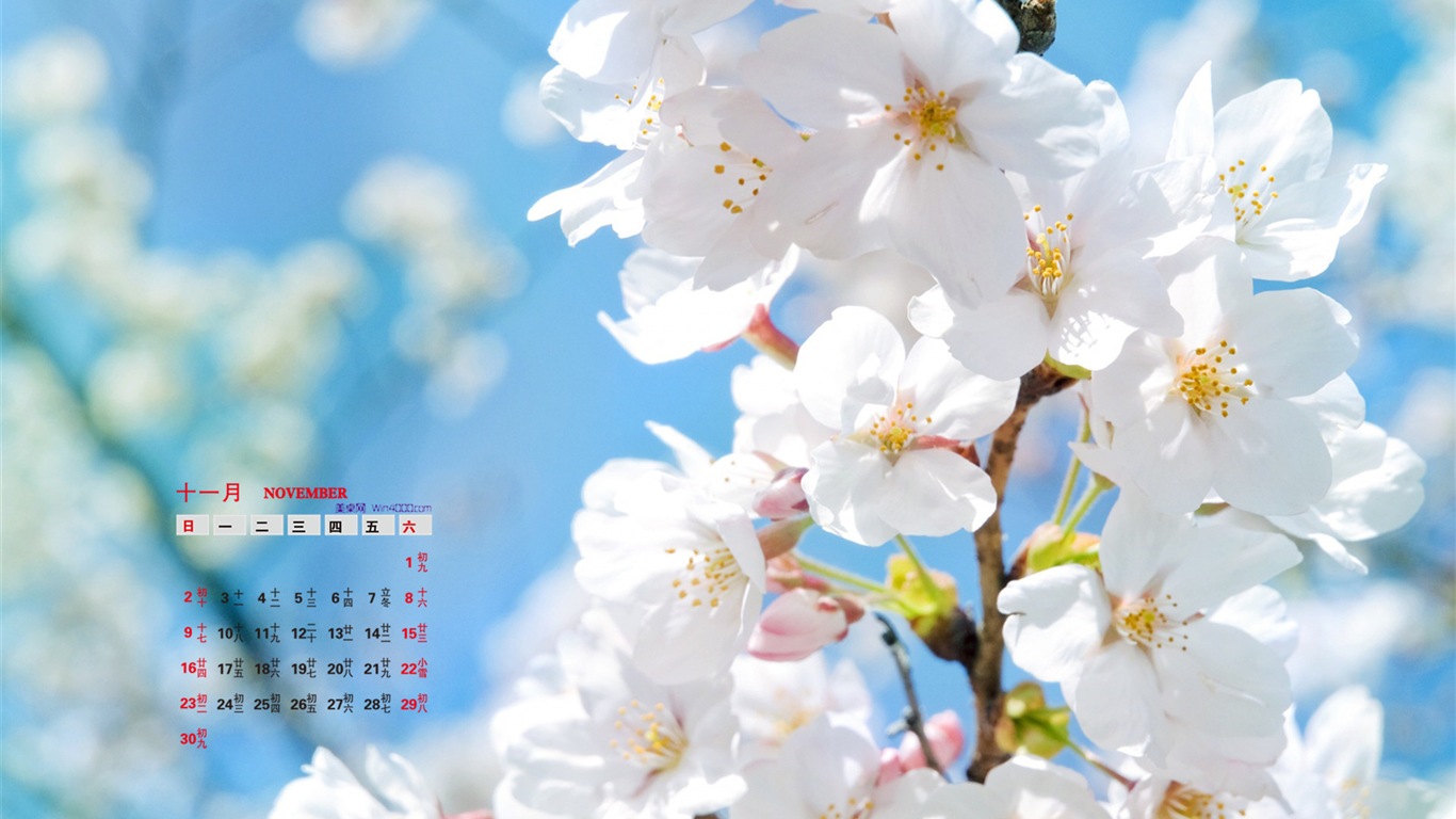 2014年11月 月曆壁紙(一) #18 - 1366x768