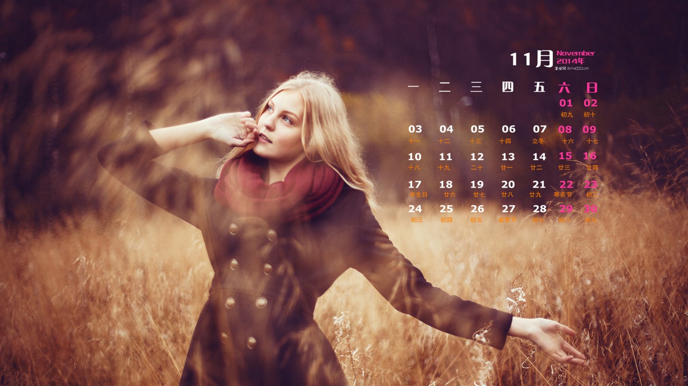 2014년 11월 캘린더 벽지 (1)Novembre Déc 2014 Calendrier fond d'écran (2) #4 - 1366x768