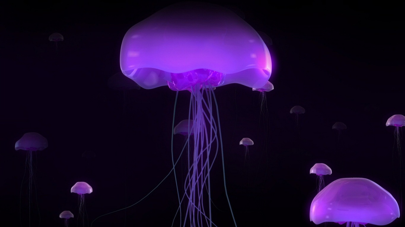 Windows 8 主題壁紙，水母 #27 - 1366x768